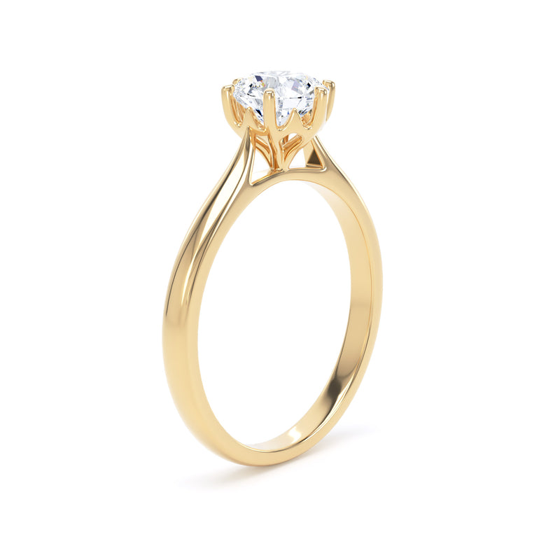 1ct Halo Set Brilliant Lab Grown Diamond Solitaire Ring (Rpp11)