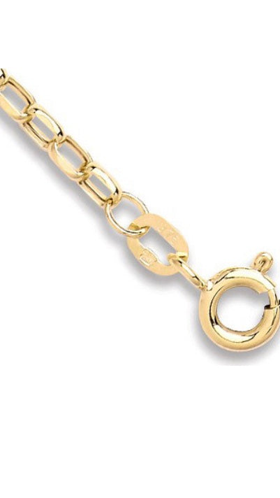 9ct Yellow Gold Diamond Cut Ankle Bracelet (Ac0037-10)