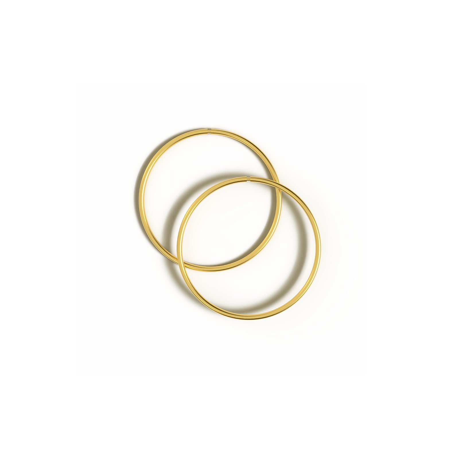 Silver Gold Plated Hinged Sleepers (Se219c)