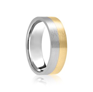 Argentium & 9ct Gold 6mm Wedding Ring