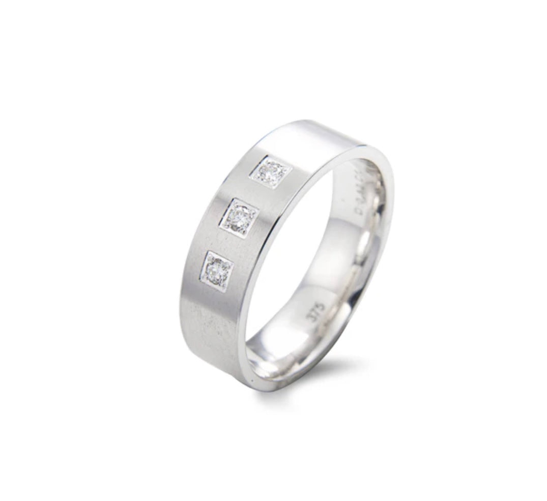 9ct White Gold Satin Finish 6mm Diamond Wedding Ring (Am1563)