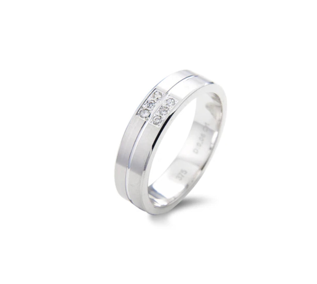9ct White Gold Satin Finish 5mm Diamond Wedding Ring (Am1602)