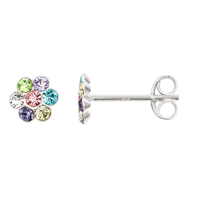 Silver Multi Colour Studs (Se055c)