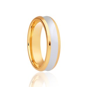 9ct Gold & Argentium 6mm Wedding Ring